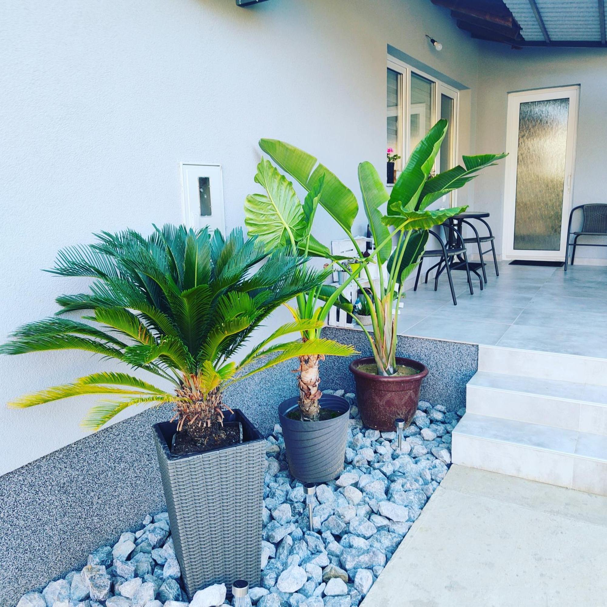 ביילובאר Apartmani Sun & Moon מראה חיצוני תמונה